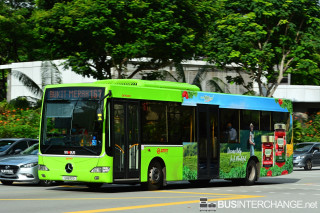 SMB10G - 167
